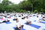 Ministry of Women and Child Development Officials joined yoga program to celebrate the 9th International Day of Yoga held at NIPCCD promoting physical and emotional well being.